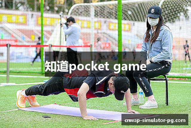 知道pocket game